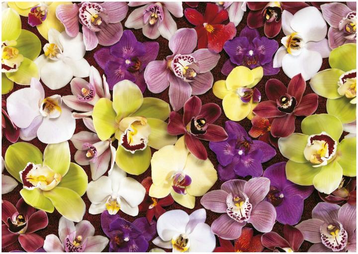 Actual product image Educa 19558 Puzzle 1000 Pcs. Orchid Collage (1000 pieces)