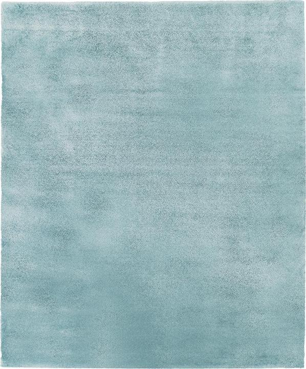 Image du produit Johann Jakob Louise (70 x 140 cm)