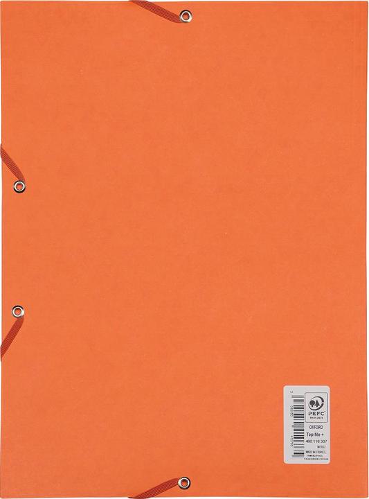 Actual product image Oxford TOP FILE+ corner binder, A4 (A4, 1 x)