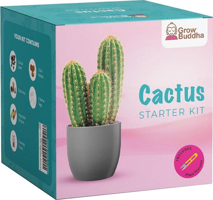 Produktbild Grow Buddha Aufzuchtset Kaktus