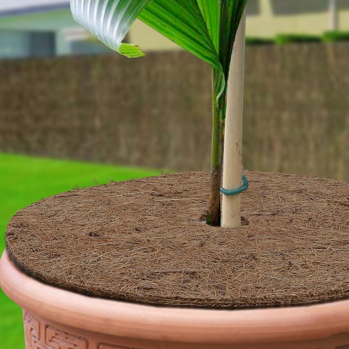 Immagine prodotto Casa Pura Mulchscheiben