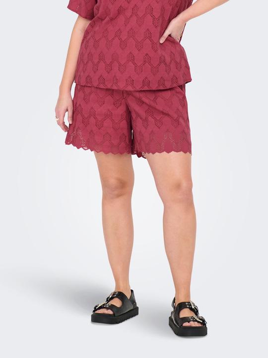 Actual product image Only CARCLEANOR Normal geschnitten Shorts Shorts (44)