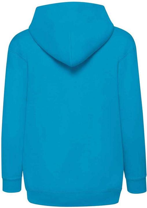 Actual product image Fruit of the Loom Childrens/Kids Hooded Sweatshirt (170)