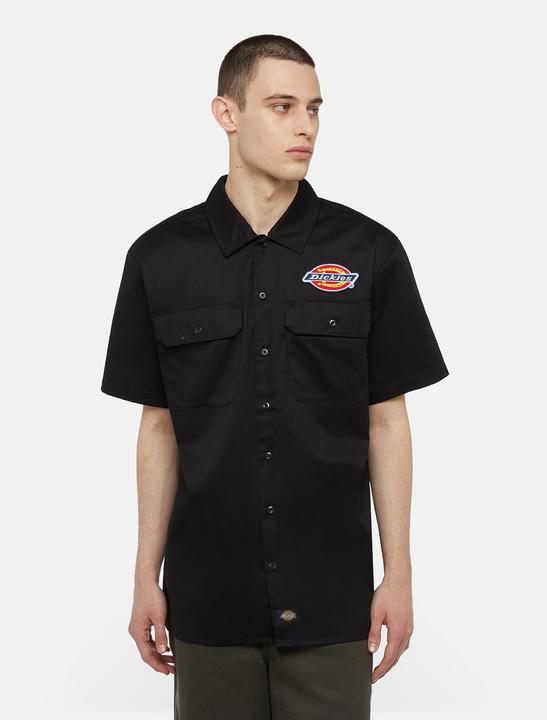 Actual product image Dickies Clintondale Rec Black (M)
