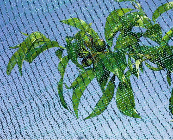 Actual product image Stocker Garden Stocker Hail Protection Net 2 x 10m