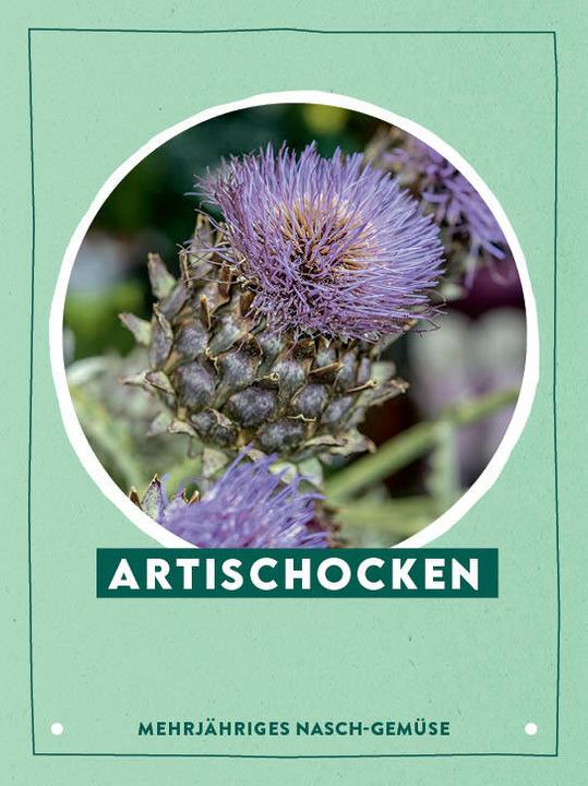 Actual product image Card set: No time to garden - 64 cards - Quick and easy to a vegetable garden (German)