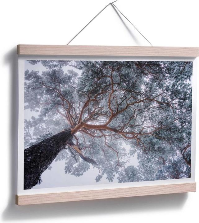 Produktbild Trenddeko Baum im Winter (100 x 80 cm)