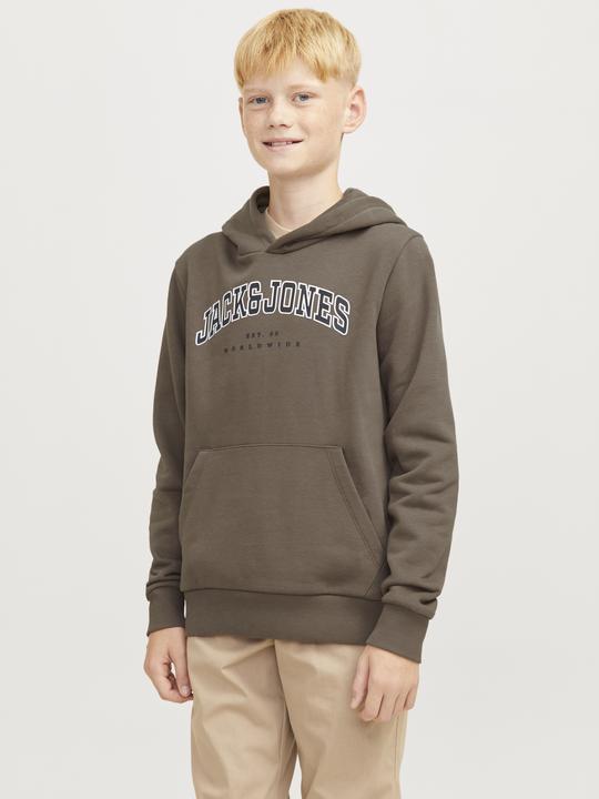 Actual product image Jack & Jones Jjecaleb Varsity Sweat Hood Noos Jnr (140)