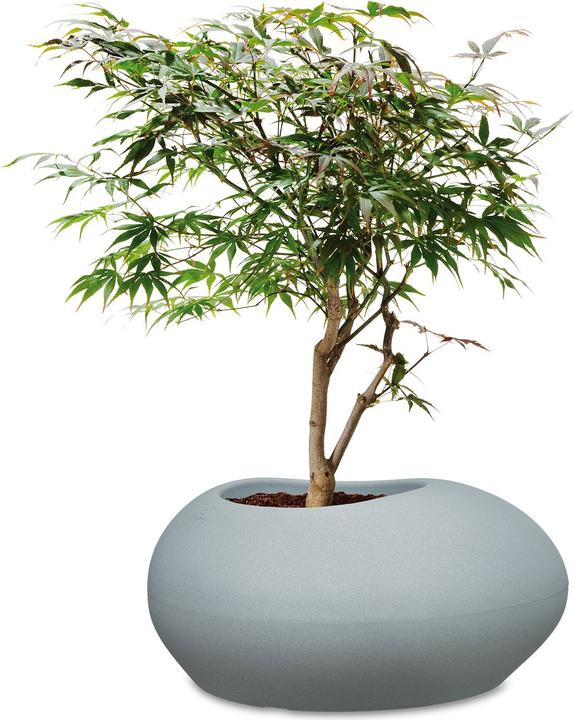 Image du produit Scheurich Conteneur de plantes 280 (38 cm)