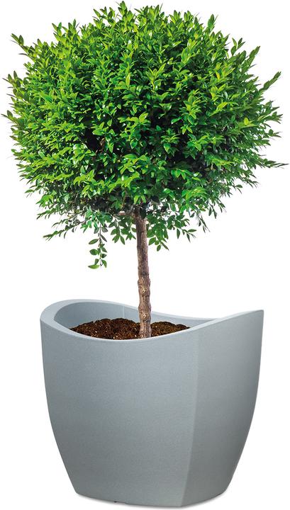 Produktbild Scheurich Wave Globe Cubo (49 cm)