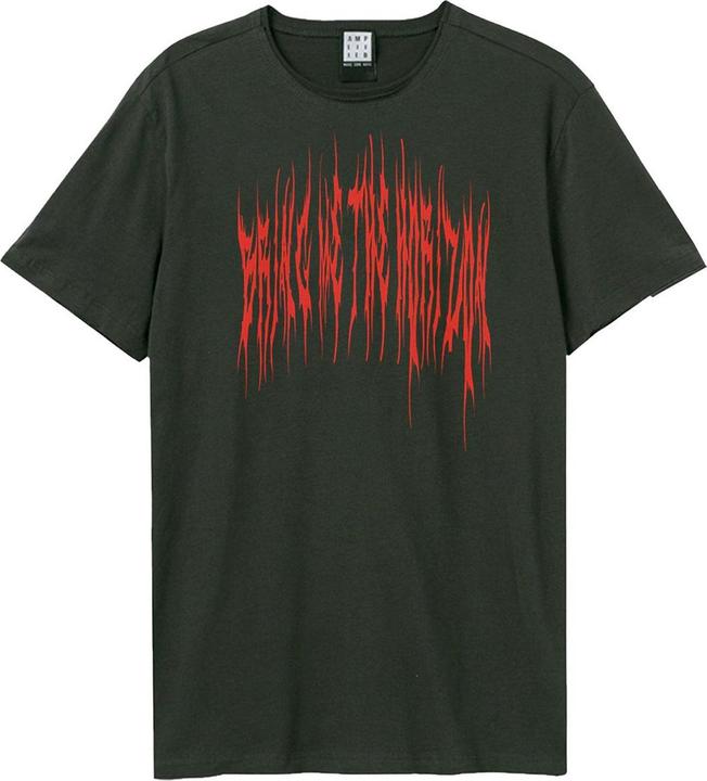 Amplified Praying Amen TShirt
