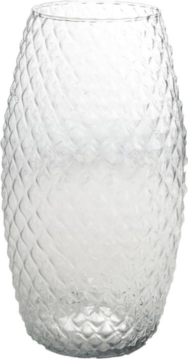 Actual product image Sandra Rich DIAMOND amaryllis vase (1 x, 18 x 18 x 30 cm)