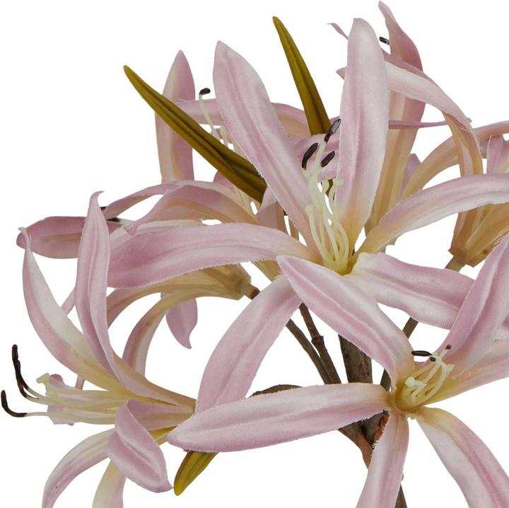 Actual product image Hill Interiors The Natural Garden Collection Lily Stem Artificial Flower (61 cm)