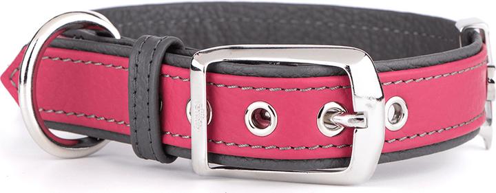 Produktbild Myfamily Firenze Vitello (XL, Hund, Allgemein)