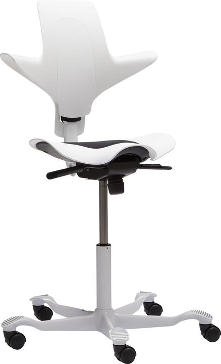 Image du produit HAG Capisco Puls 8010