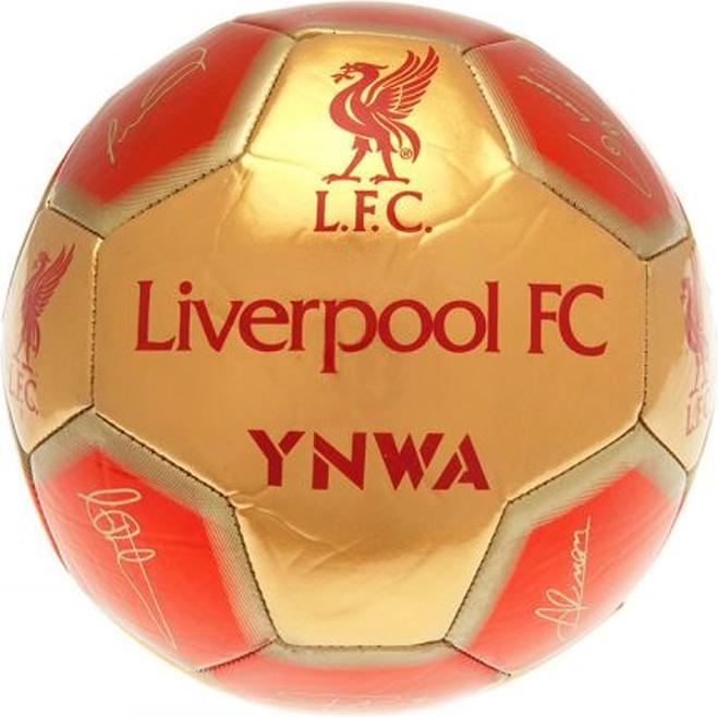 Actual product image Score Draw Signature Football