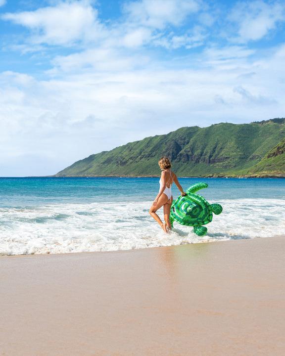 Actual product image Intex Lil' Sea Turtle