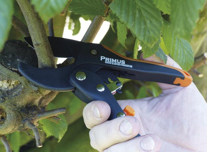 Image du produit Garten Primus Ciseaux à cliquet pour femmes