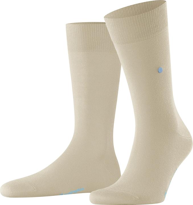 Burlington Lord (40 - 46)