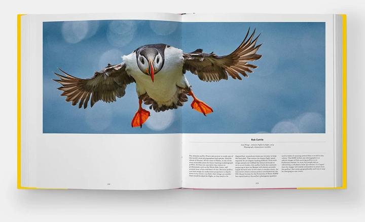 Actual product image Bird (English, Katrina van Grouw, Phaidon Editors, Jen Lobo, 2021)