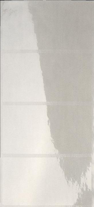Image du produit Leitz Etiquette de protection sur bande, transparente Dimensions : (L)72 x (H)39 mm, autocollante, pour sc