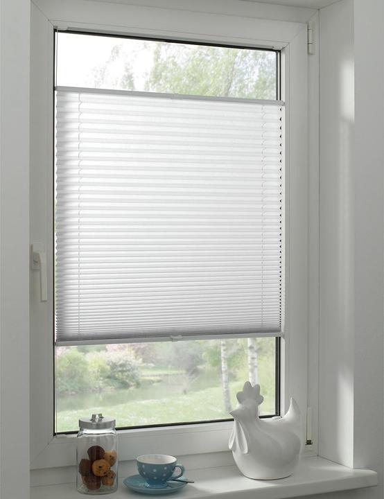 Immagine prodotto Lipo Tageslicht (50 x 130 cm)
