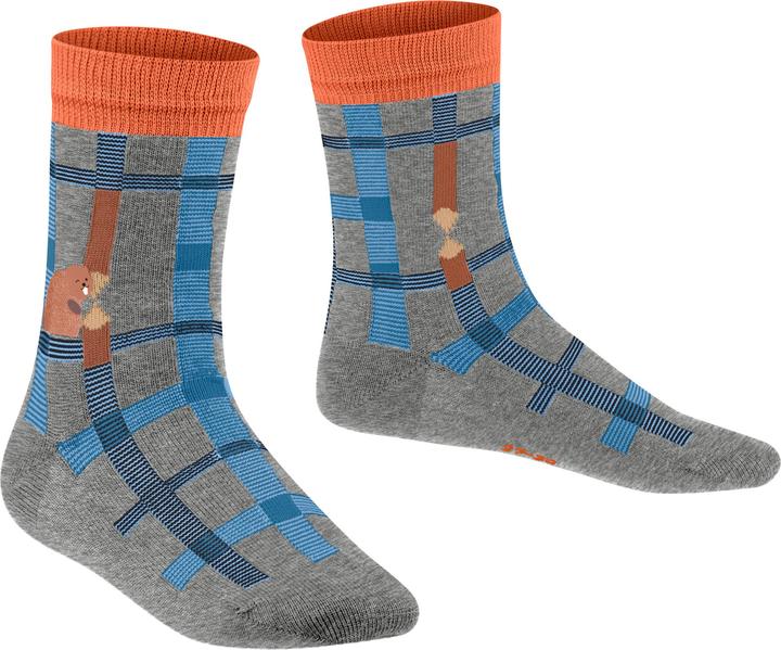 Actual product image Falke Beaver Check Kids Socks (19 - 22)