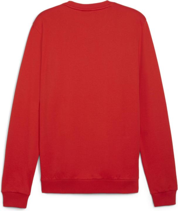 Actual product image Puma teamGOAL Casuals Crew Neck Sweat (XL)