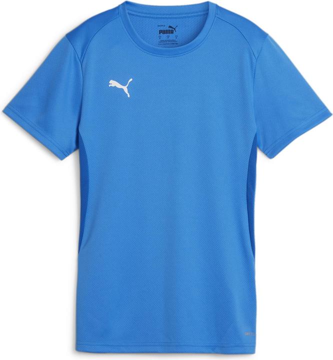 Puma teamGOAL Jersey Wmn