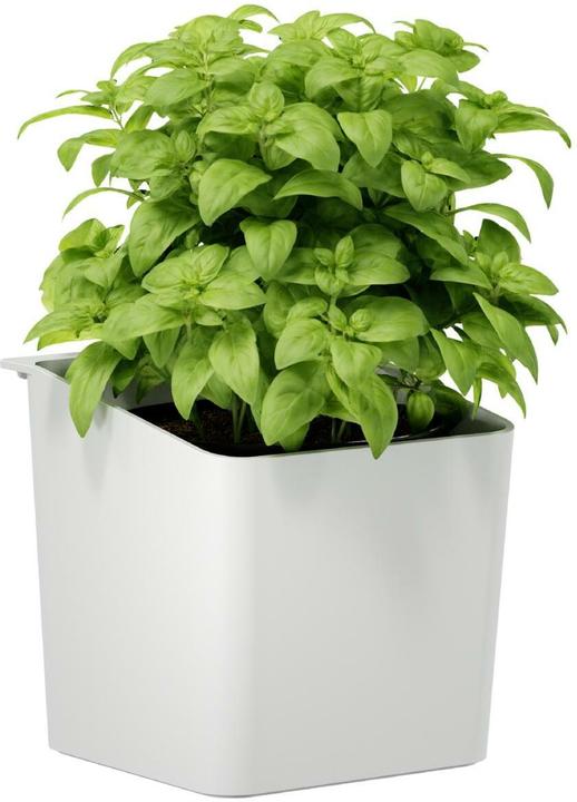 Image du produit tesa Pot d'herbes aromatiques (13.50 cm)