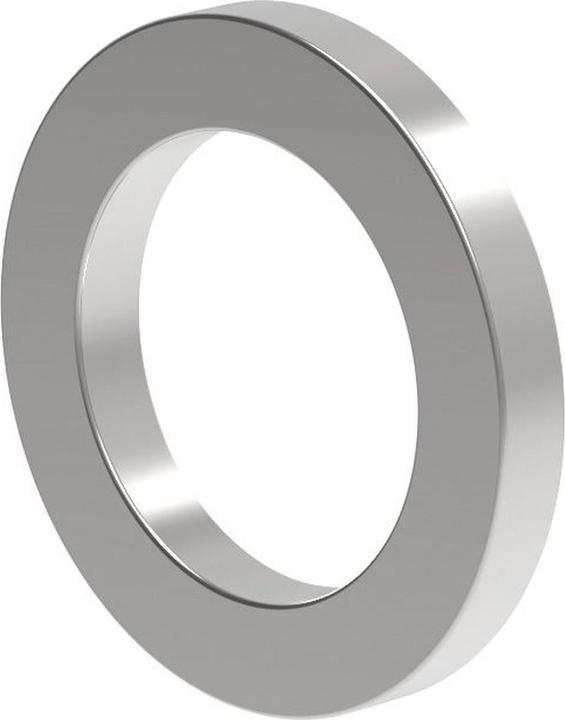 Actual product image Maul Neodymium ring magnet (10 x)