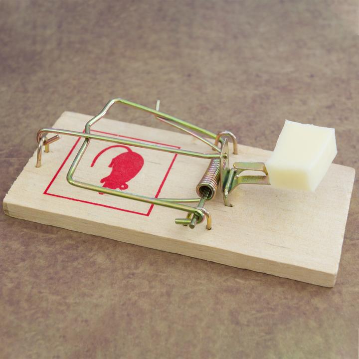 Actual product image Relaxdays Set of 12 Rodent Traps