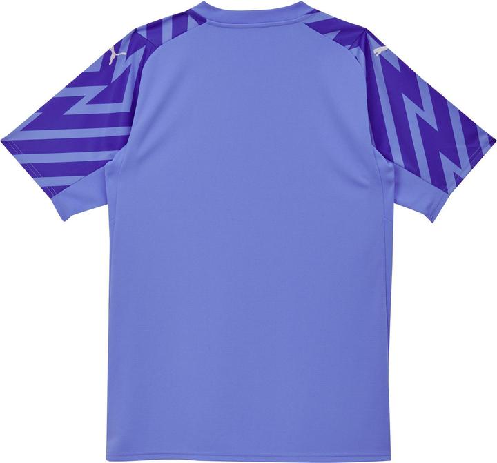 Image du produit Puma ASF GK Jersey SS Replica (XXL)
