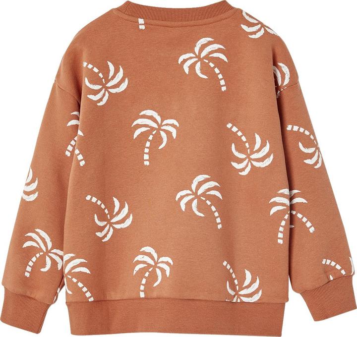Produktbild Vertbaudet Jungen Sweatshirt mit Frottee-Motiv und Recycling-Polyester (92)