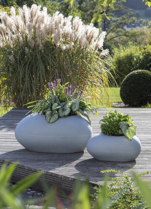 Image du produit Scheurich Conteneur de plantes 280 (38 cm)