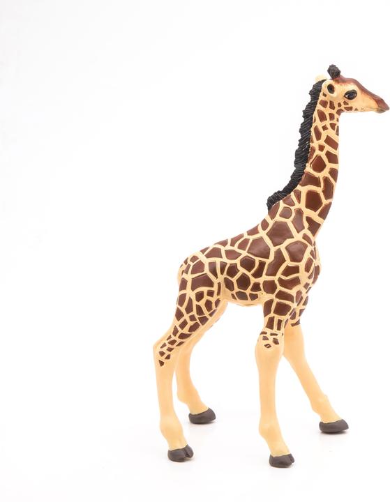 Produktbild Papo Giraffenjunges