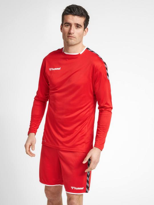 Image du produit hummel Authentic Poly Jersey L/S (S)