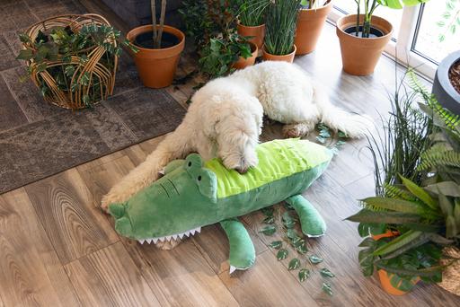 Produktbild Beeztees Hundespielzeug Krokodil