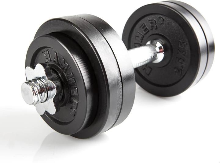 Image du produit Hammer Fitness Ensemble d'haltères courts (4 x 2,5 kg, 2 x 1,25 kg)