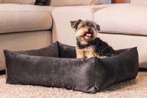 Actual product image Designed by Lotte Ribbed divan bed (Dog)