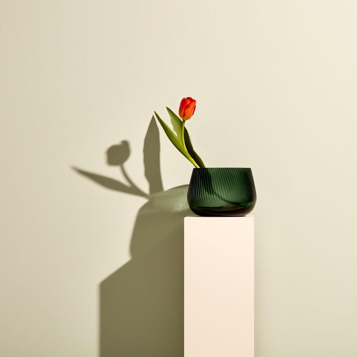 Actual product image Nude Glass Opti