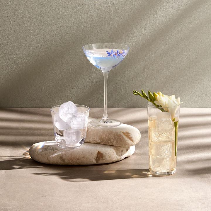 Image du produit Nude Glass Savage (1.70 dl, 2 x, Verres à Martini)