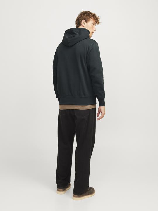 Actual product image Jack & Jones Jorfrederiksberg Sweat Hood Sn (S)