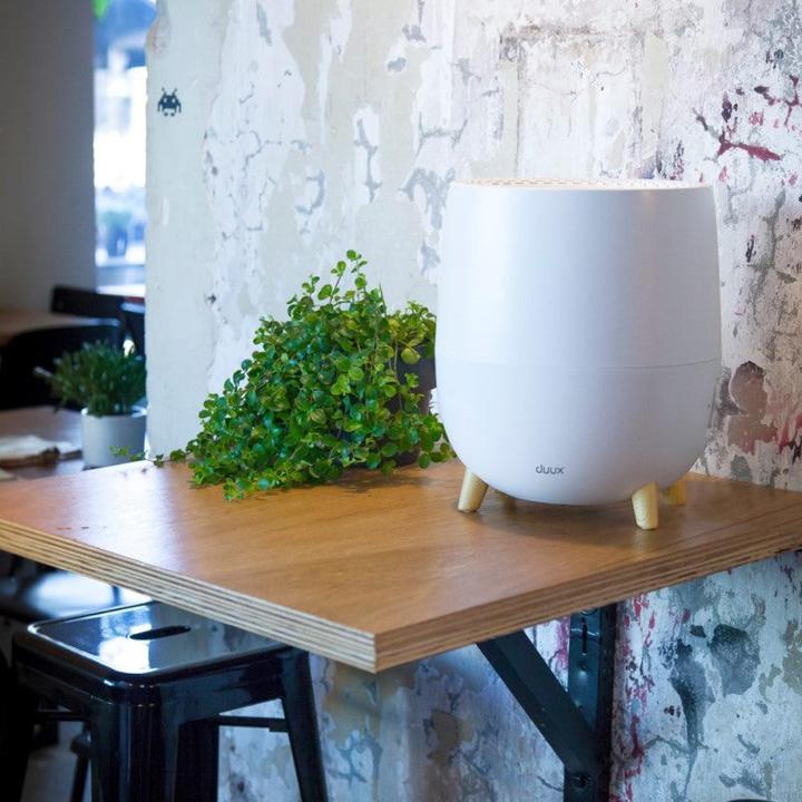 Immagine prodotto Duux Ovi (30 m²)