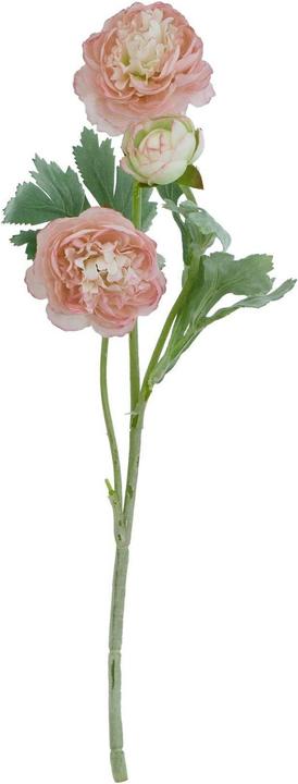 Pink/Green