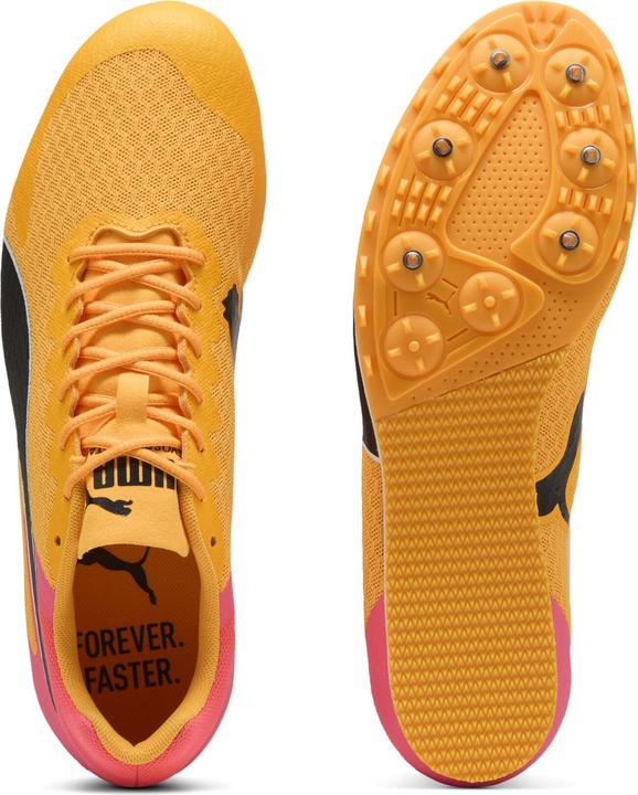 Produktbild Puma evoSPEED Star 9 (42.5)