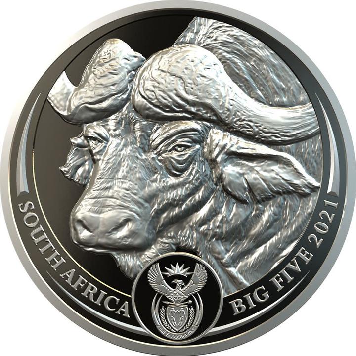 South Africa Mint Platin Büffel 1 oz PP - Big Five Südafrika (999.50, 2021)