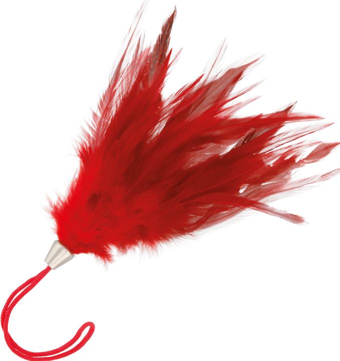 Produktbild Darkness Sensations Dunkelheit Rote Feder 17cm