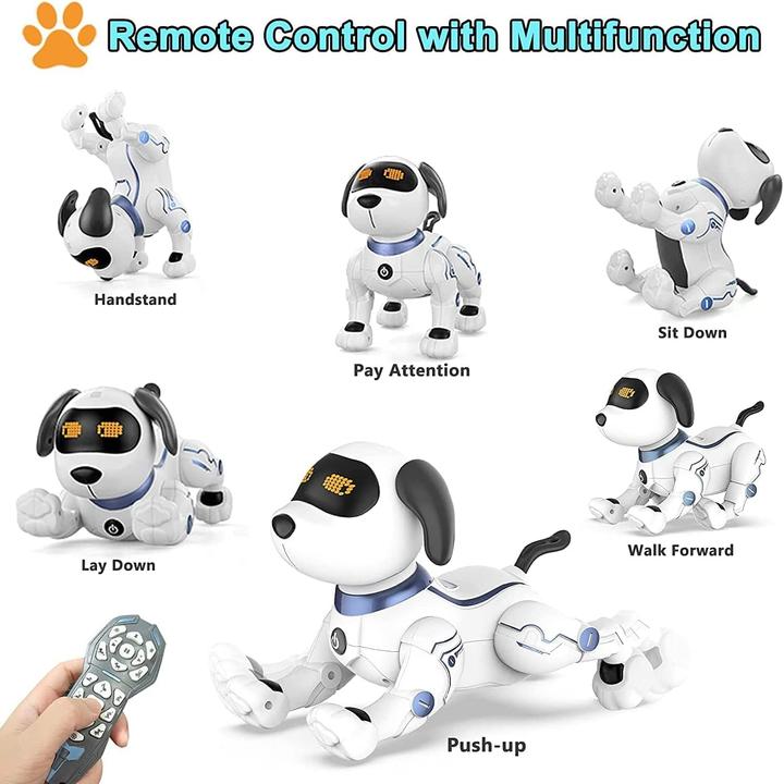 Image du produit Ok K Jouet robot pour chien cascadeur