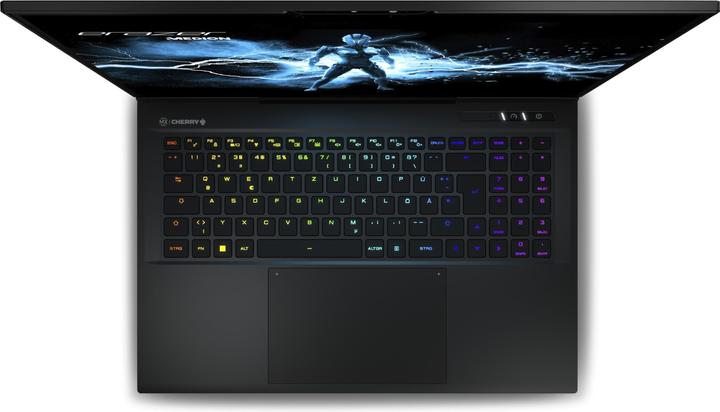 Produktbild Medion Erazer Beast X40 RTX 4090 (17", Intel Core i9-13900HX, 32 GB, 2000 GB, CH)